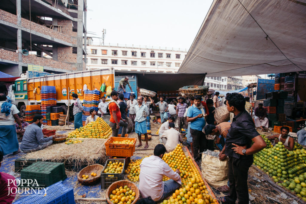 INDIA_012