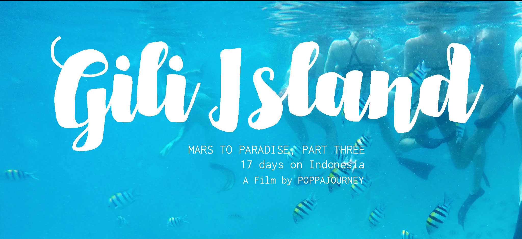 Mars to Paradise , Part Three : GILI ISLAND (ดำน้ำเกาะสวรรค์)