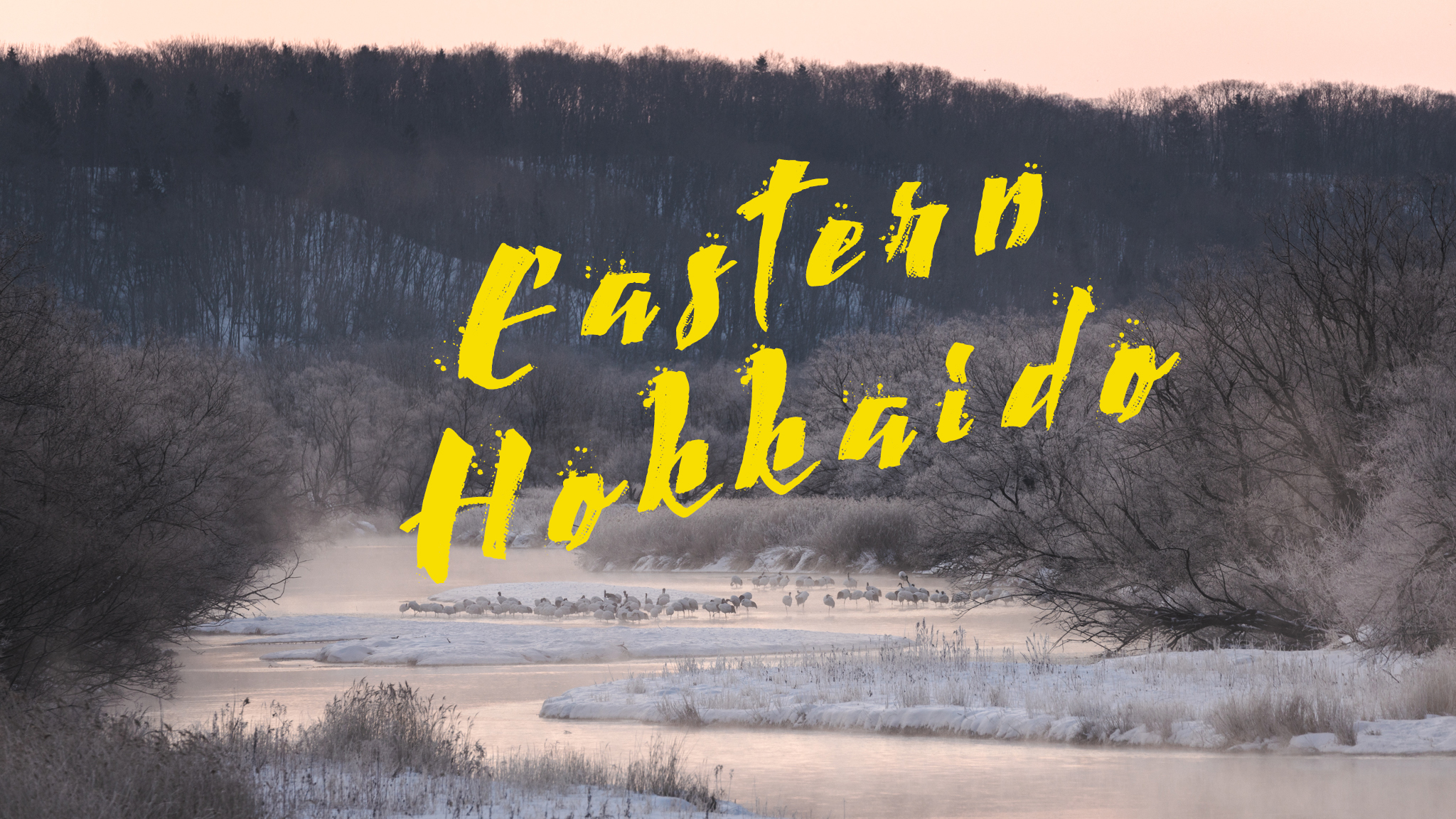 Eastern Hokkaido Vlog 2020